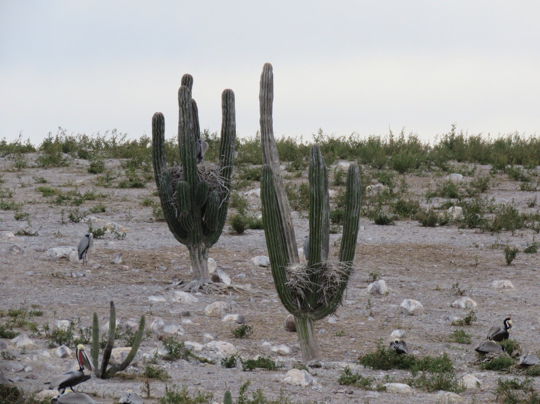 Gary's Dive shop-圣卡洛斯必去景点