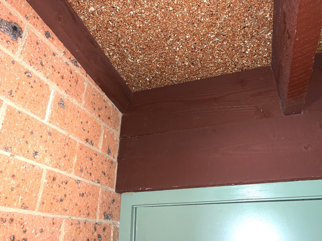 Alexandra Motor Inn主图