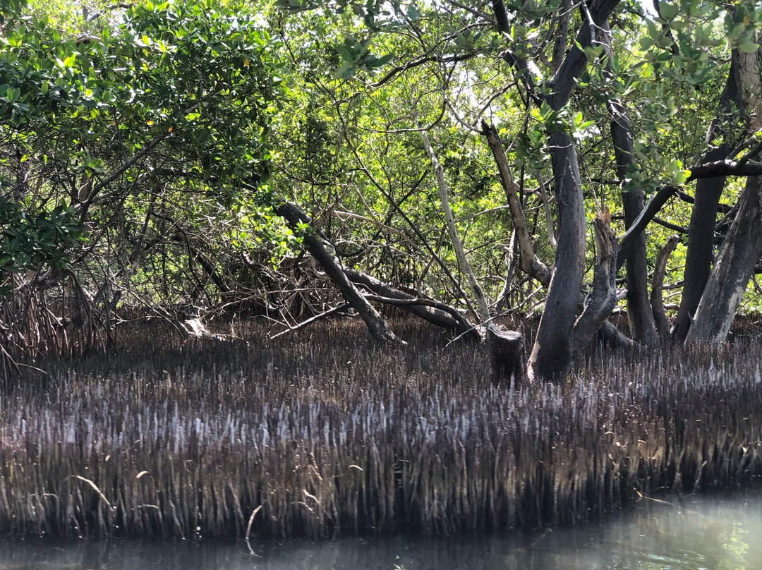 雷斯廷加国家公园-玛格丽塔岛必去景点