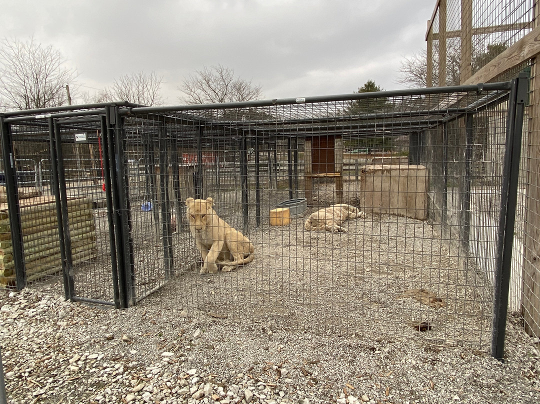 Wildlife In Need, Inc.-Charlestown必去景点