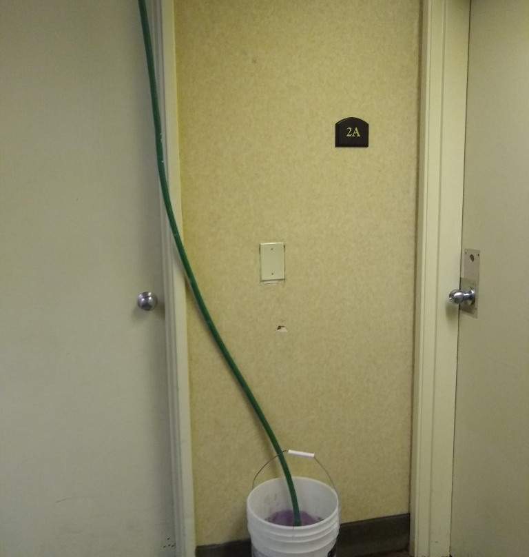 Wingate by Wyndham Livonia主图