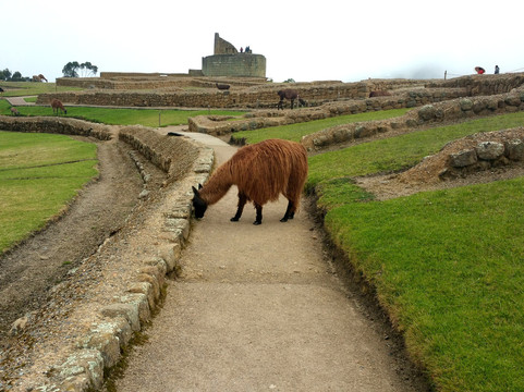 Cuenca Bestours-昆卡必去景点