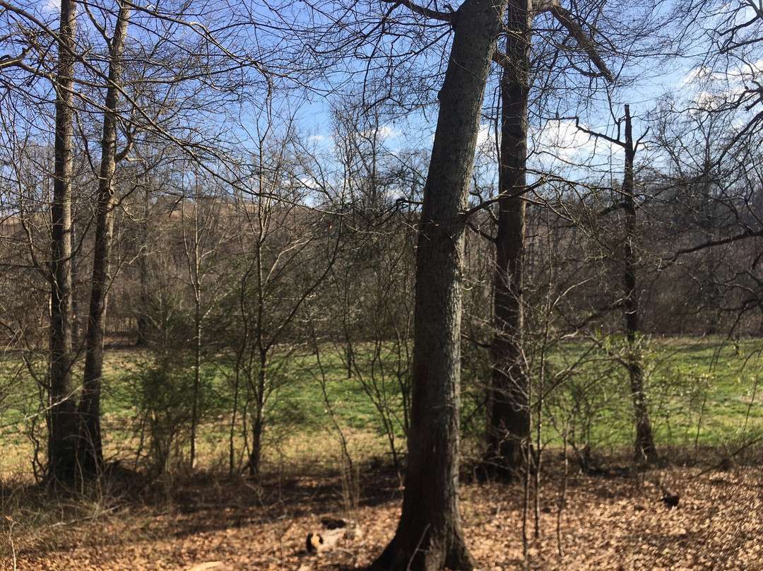 Matt Community Park-卡明必去景点