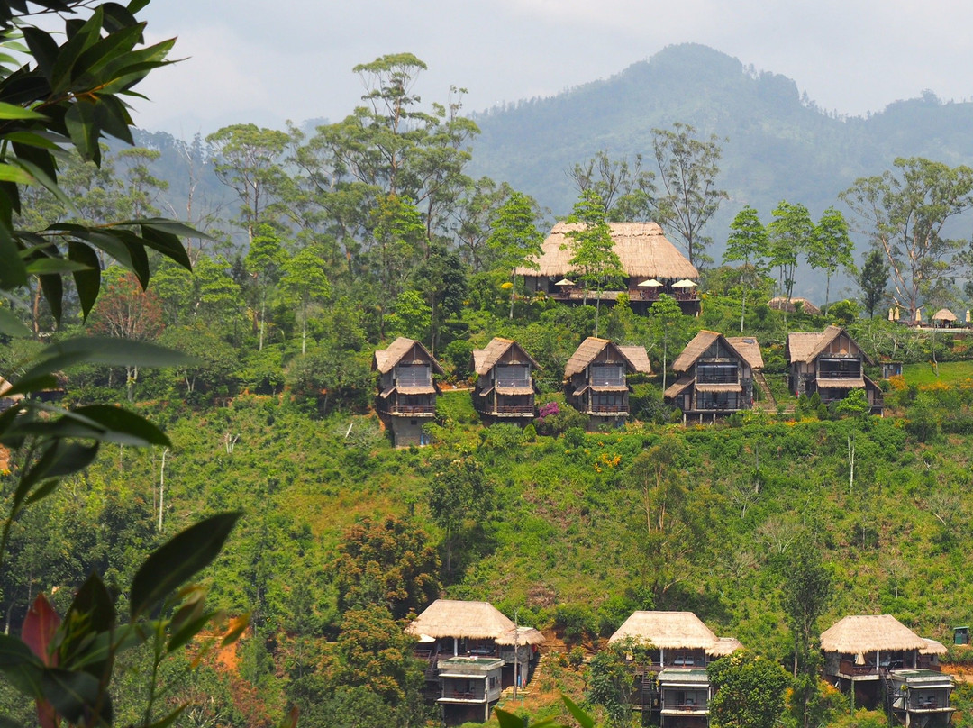 Euphoria Exotic Holidays-Matale必去景点