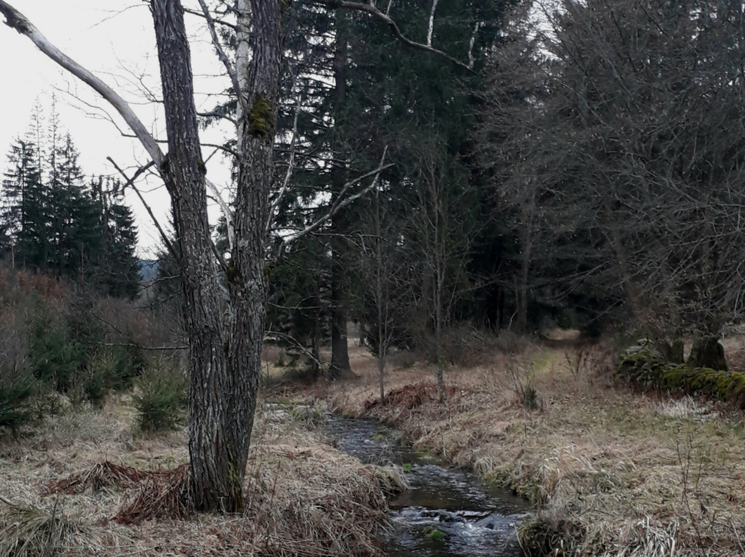 Penzion Bauru Dvur主图