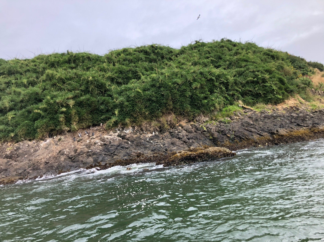 Ecoturismo Punihuil-Ancud必去景点