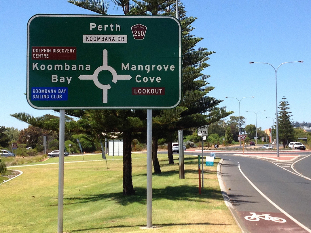 Mangrove Cove Lookout-班伯利必去景点