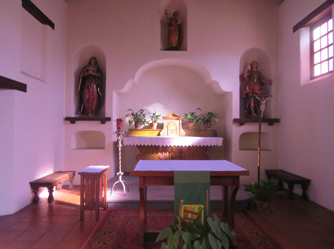 Mission State Park-圣克鲁斯必去景点