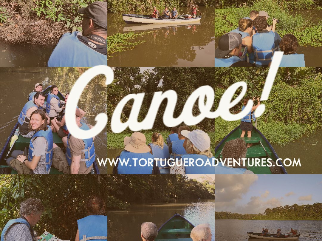 Tortuguero Adventures景点图片