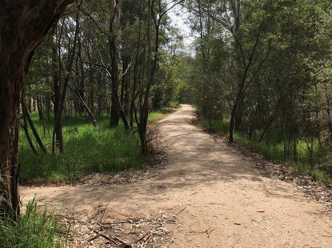 Macalister Wetland Reserve-Maffra必去景点