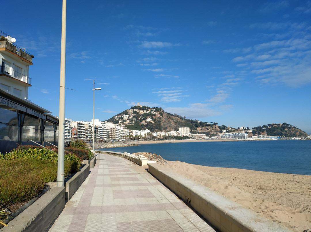 Playa de S'Abanell景点图片