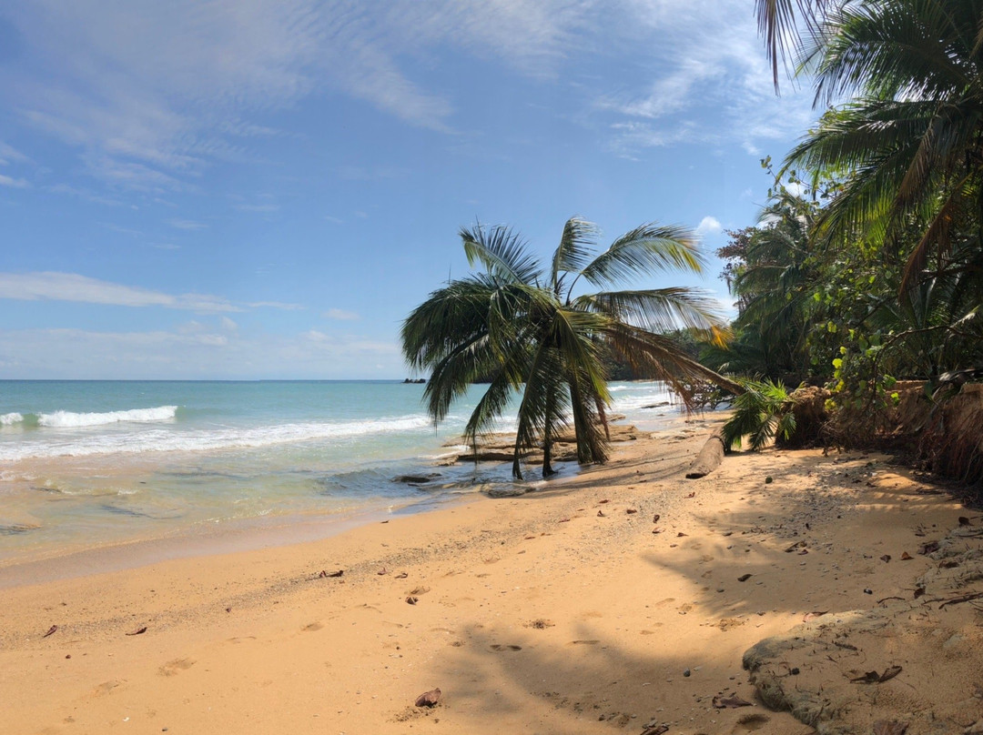 Surf Break at Paunch主图