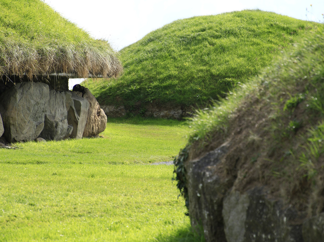 Knowth Megalithic Passage Tomb景点图片