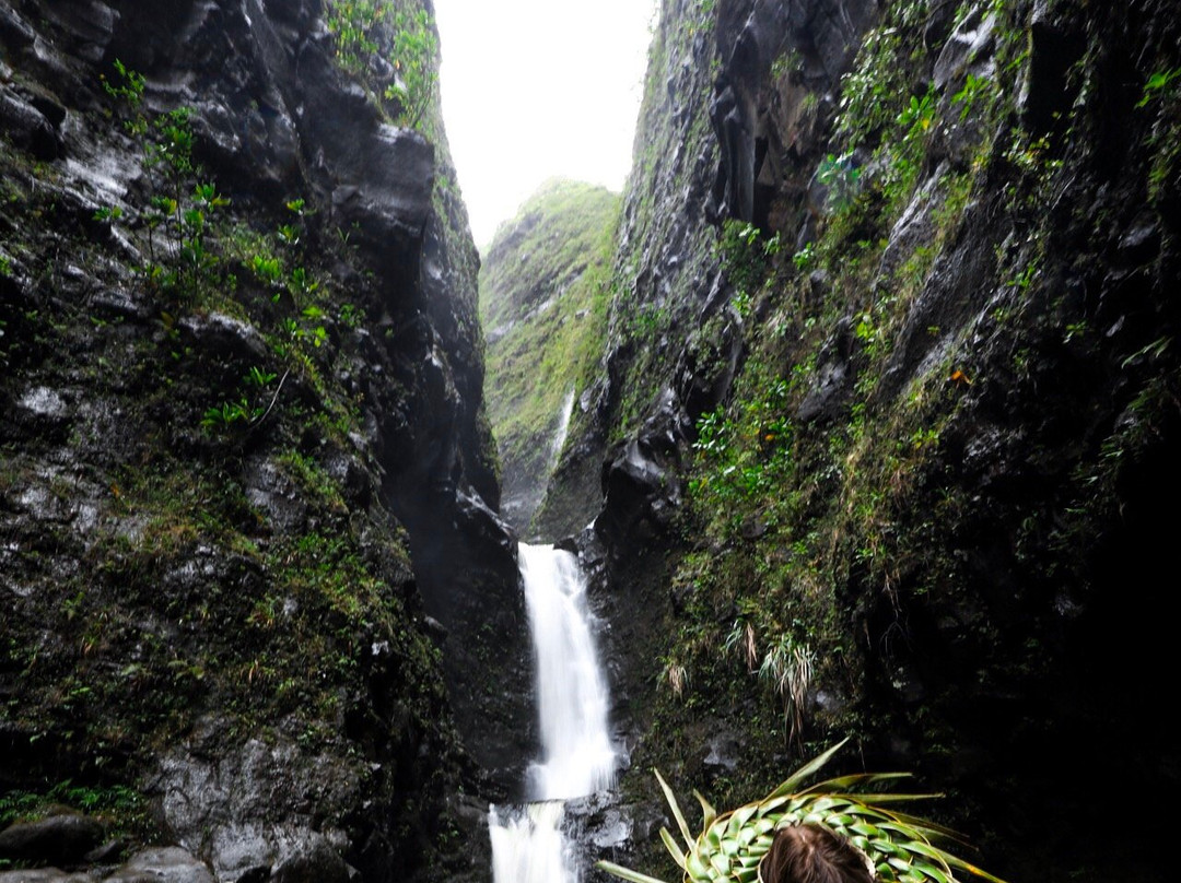 Hiking Kauai景点图片