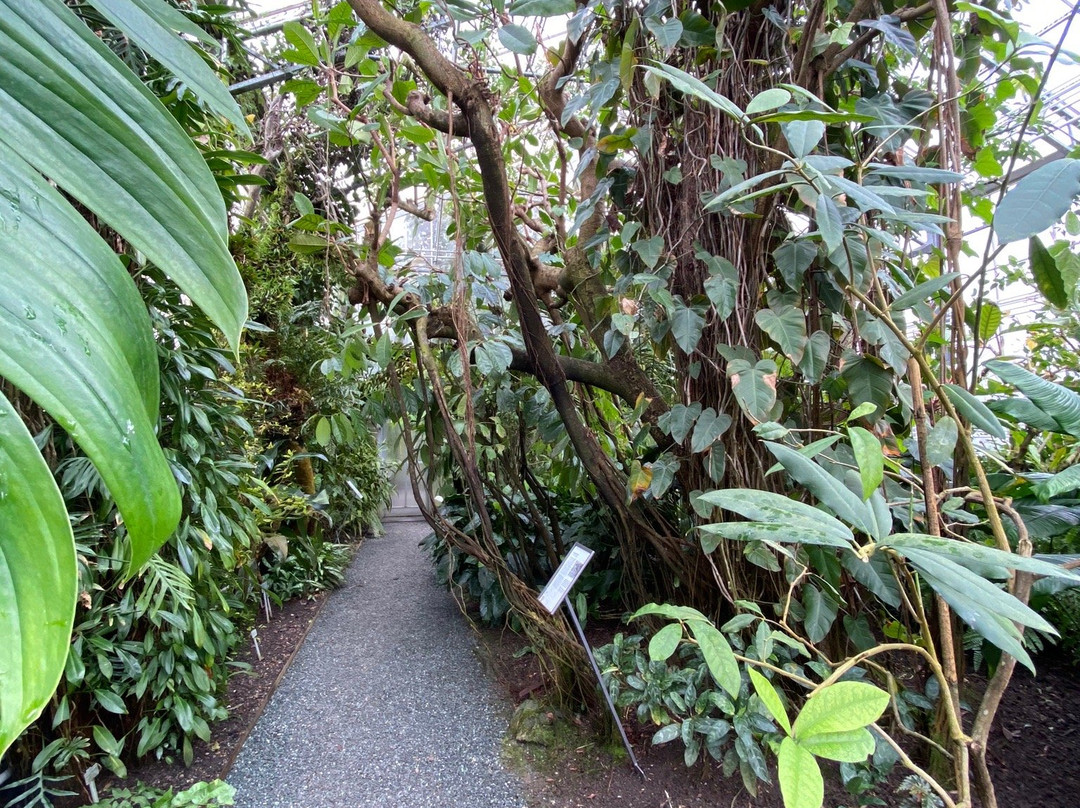 Botanical Garden-圣加仑必去景点
