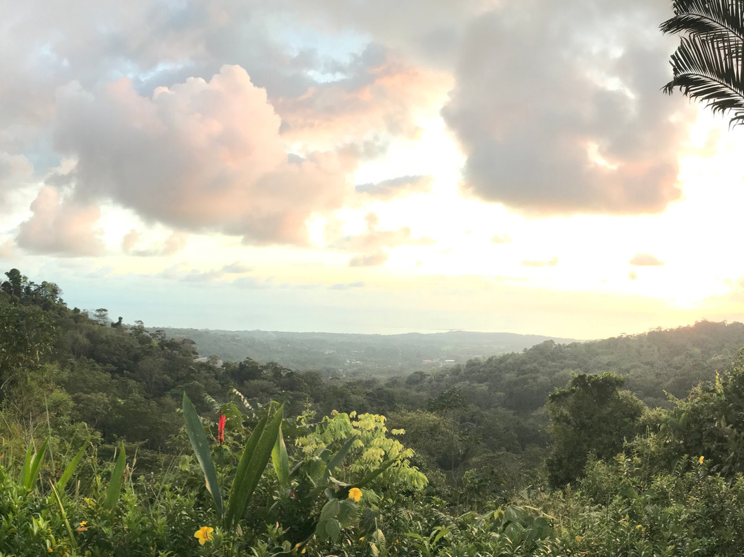 Golden Pineapple Villas主图