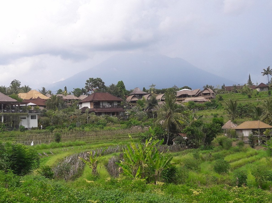 英达田园别墅主图