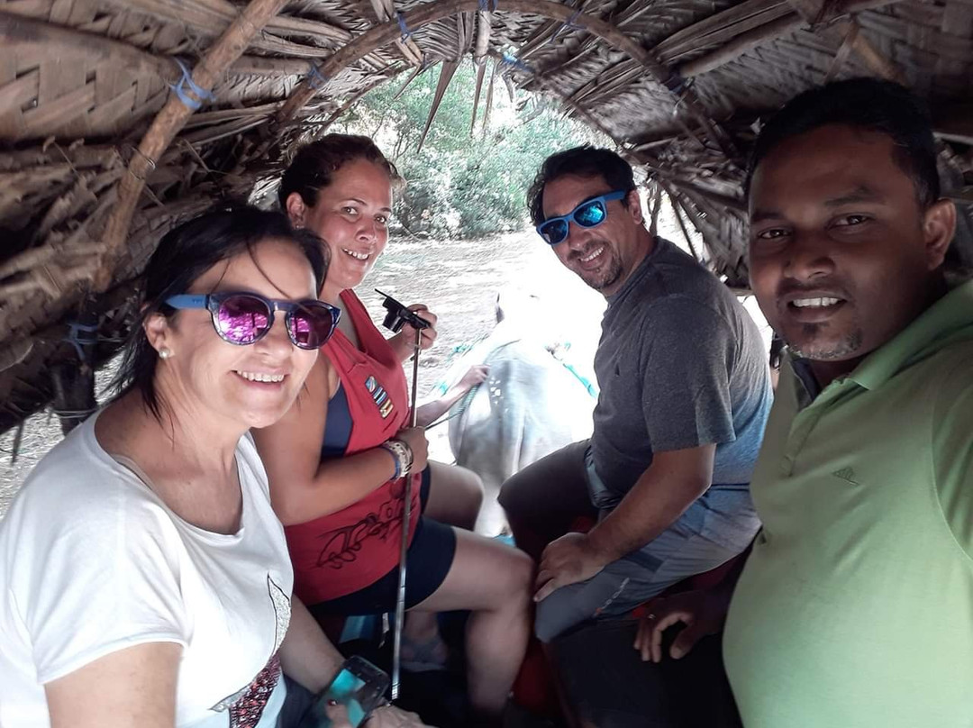 Sea Wings Holidays & Lanka Travels景点图片