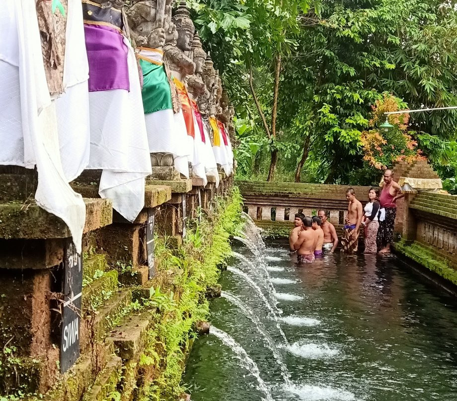 Sangeh Traditional Village - Day Tours景点图片