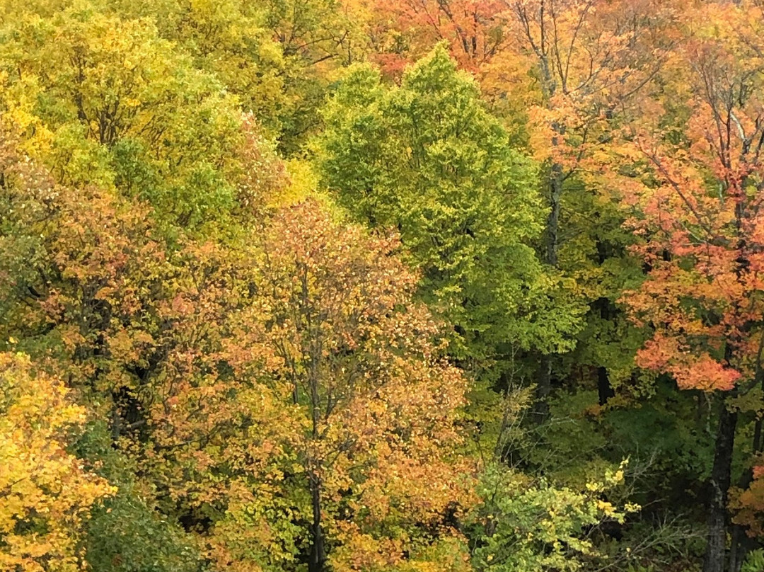 Mad River Glen-Waitsfield必去景点