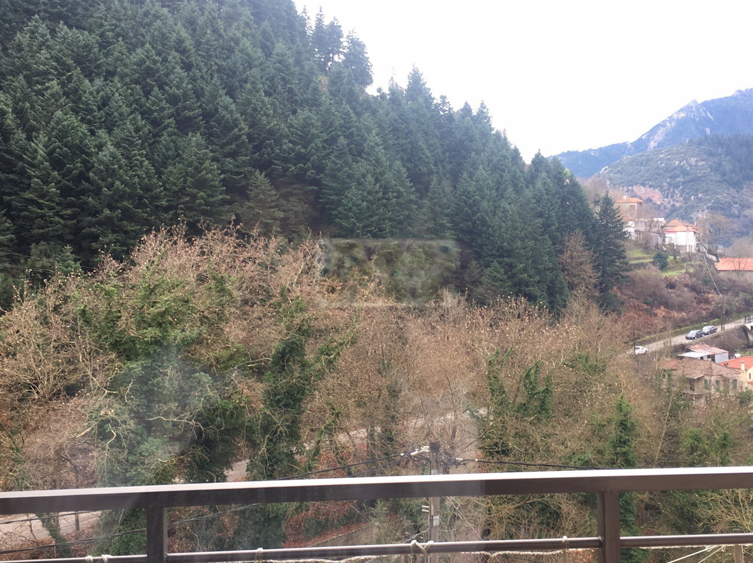 Grand Village Boutique Inn主图