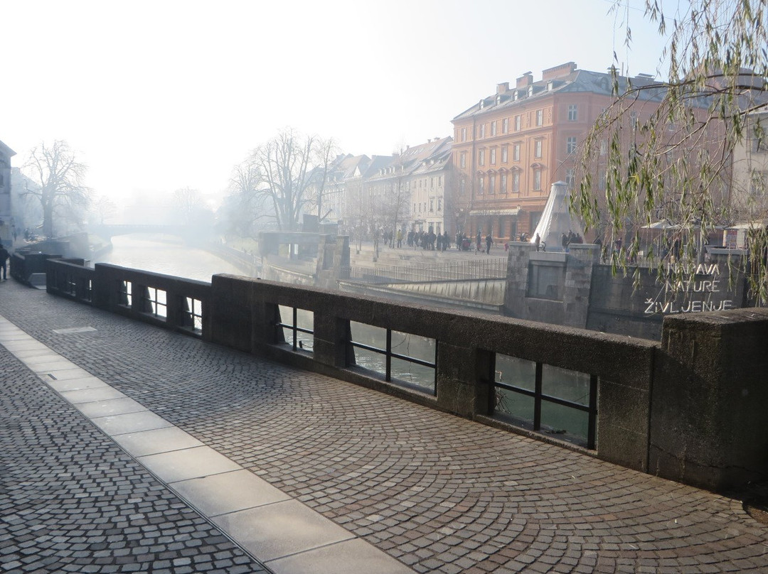 Shoemaker's Bridge (Cevljarski Most)-卢布尔雅那必去景点