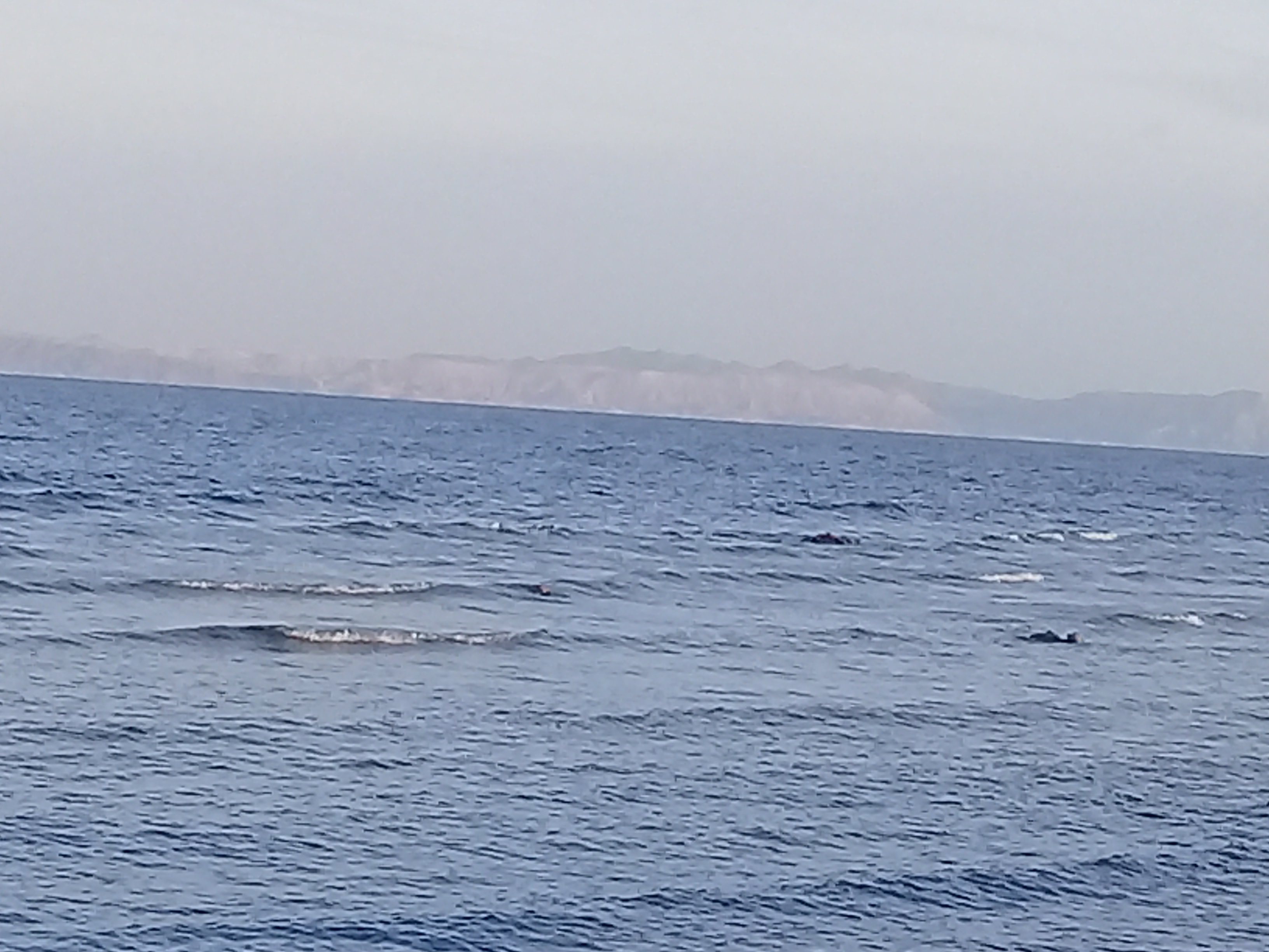 Ghazala Hotel-官方