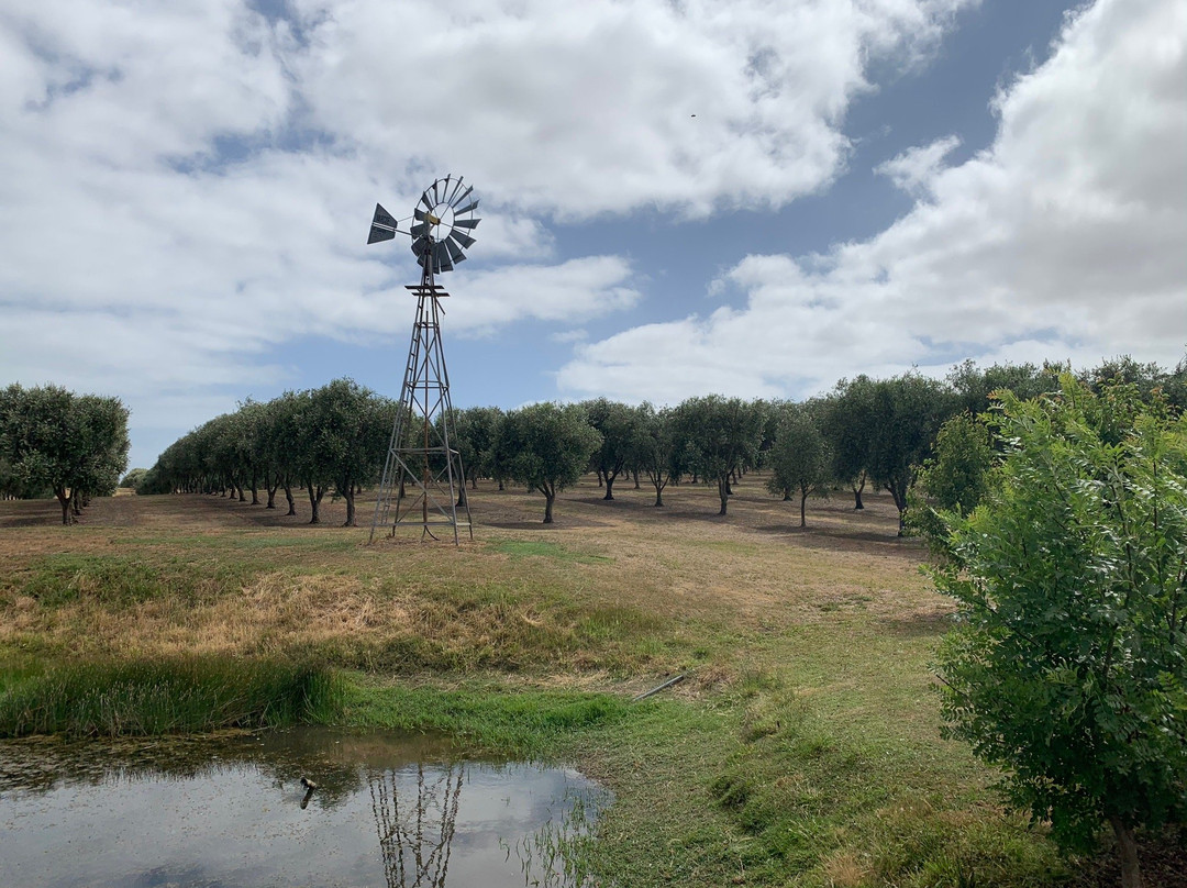 Manzanillo Grove-Drysdale必去景点