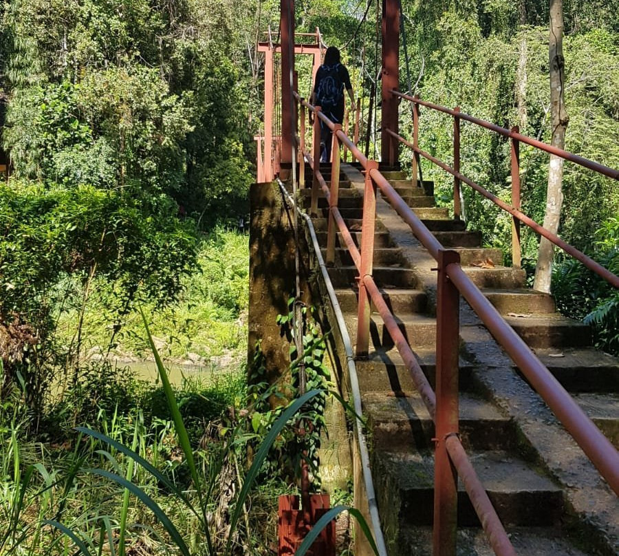 Rainforest Tours (Sinharaja)-Deniyaya必去景点