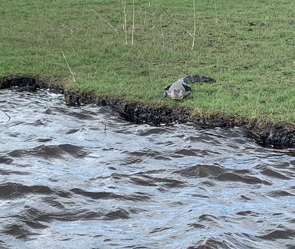 Old Fashioned Airboat Rides-Christmas必去景点
