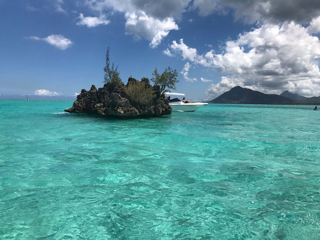 La Pirogue - Swim with the Dolphins-弗力克昂弗雷克必去景点