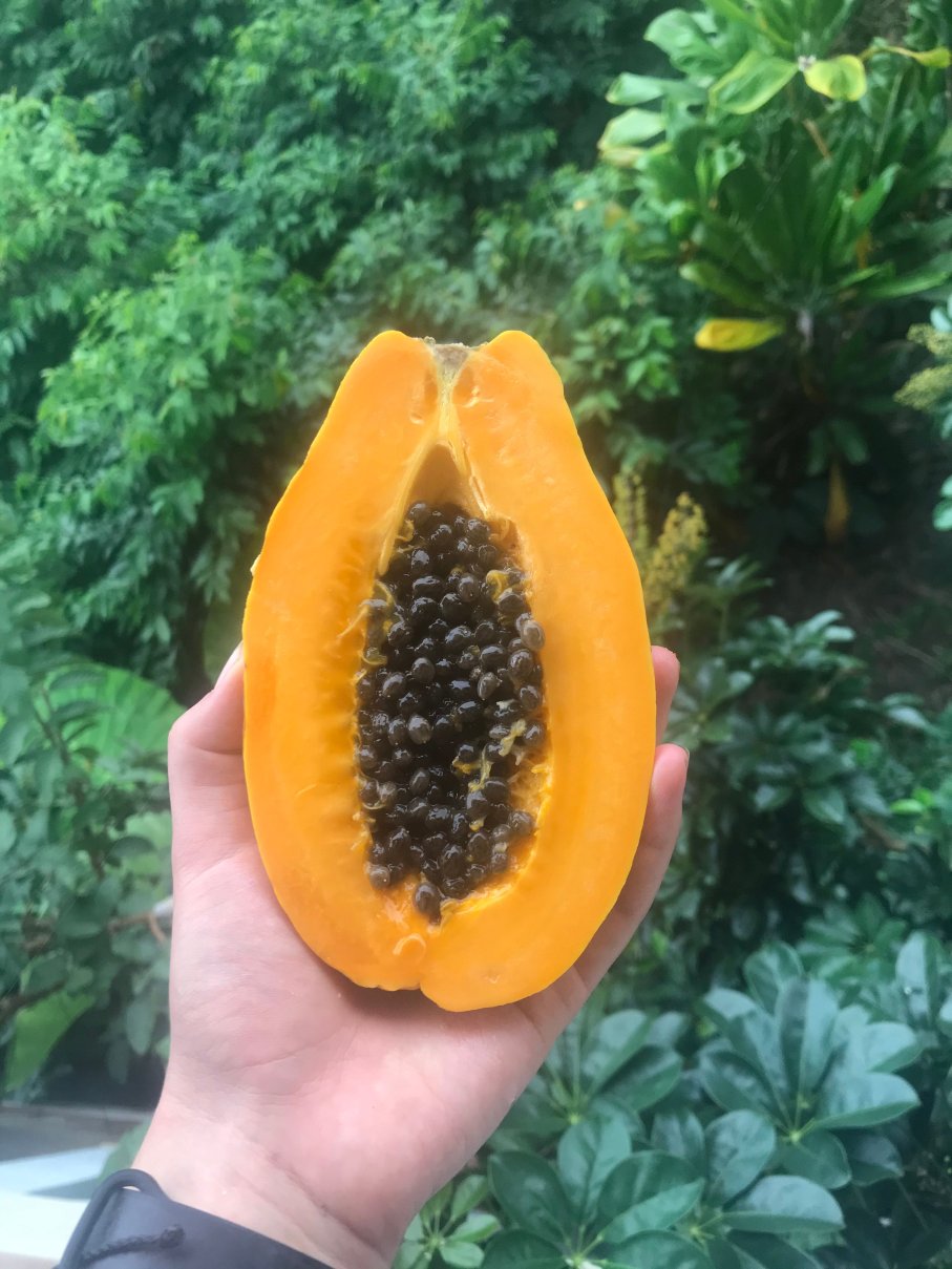 丽丽科伊客栈-餐饮