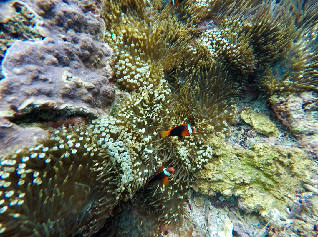 Bluelagoon Paradise Adventure-努沙切宁安岛必去景点