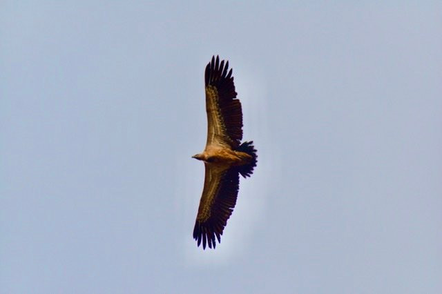 Parque Natural do Vale do Guadiana景点图片