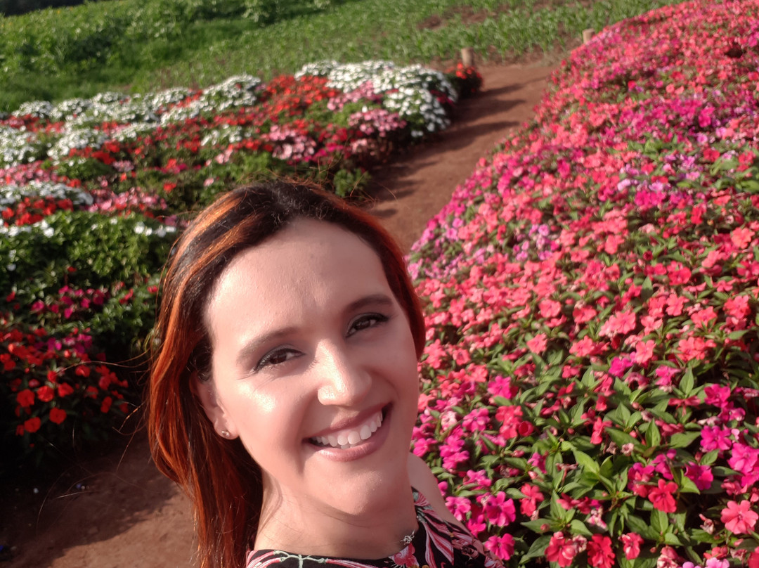 Theos Passeio Turistico-Holambra必去景点