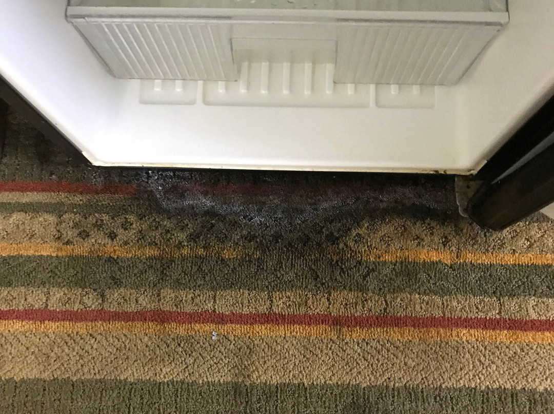 Super 8 by Wyndham Eufaula主图