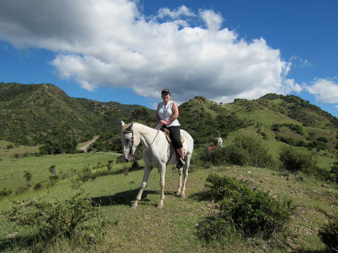 Cuba Horseback Rides景点图片
