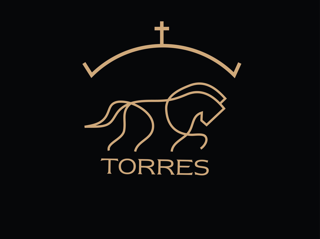 Torres, Equestrian Adventures-墨西哥城必去景点