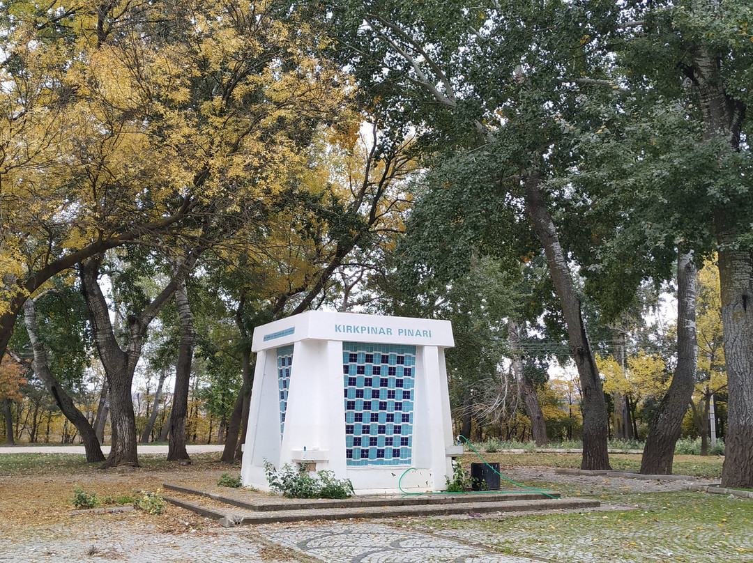 Kirkpinar Oil Wrestling-Edirne必去景点