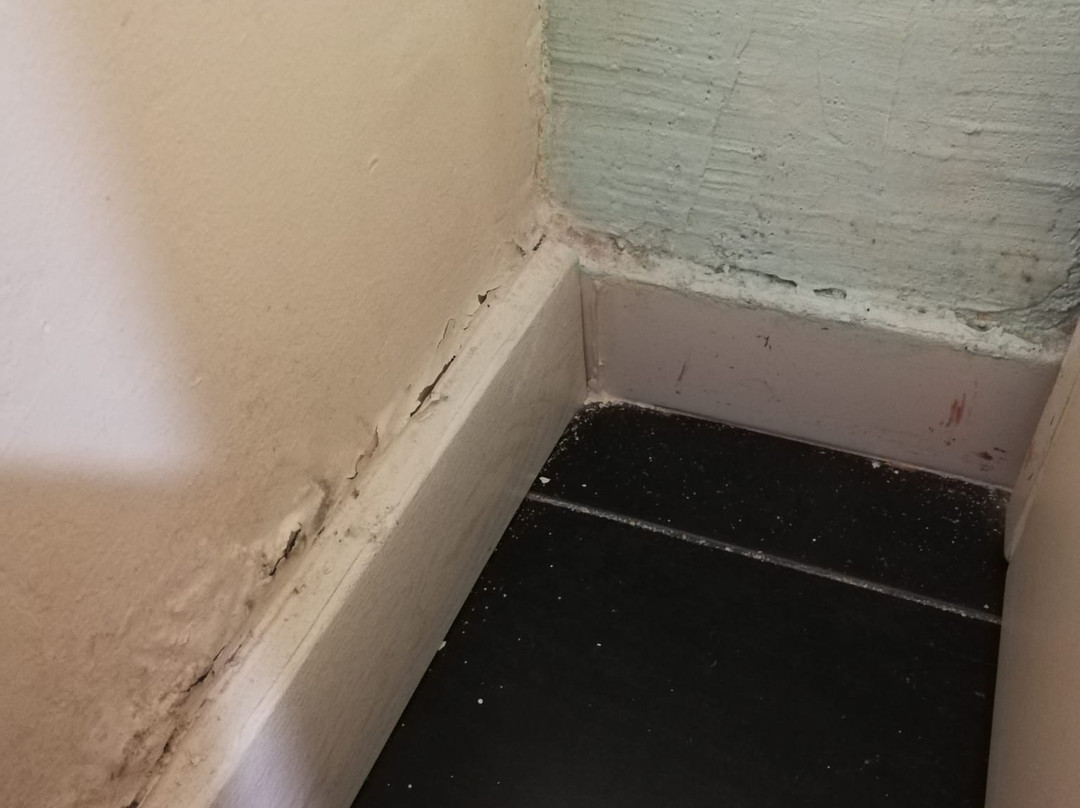 塞维利亚圣维森特 2 号旅馆主图