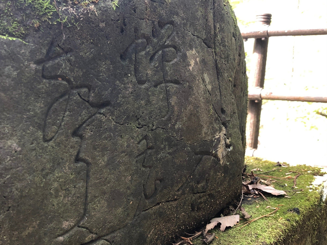 Semi no Keikoku景点图片