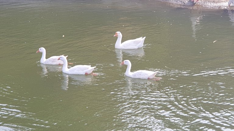 The Upper Deck 度假村-家庭/游戏区