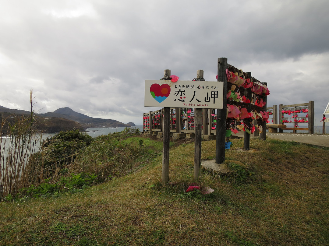 Kashiwazaki Two Lover's Point景点图片