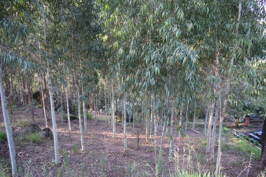 Pousada Sol Da Montanha主图