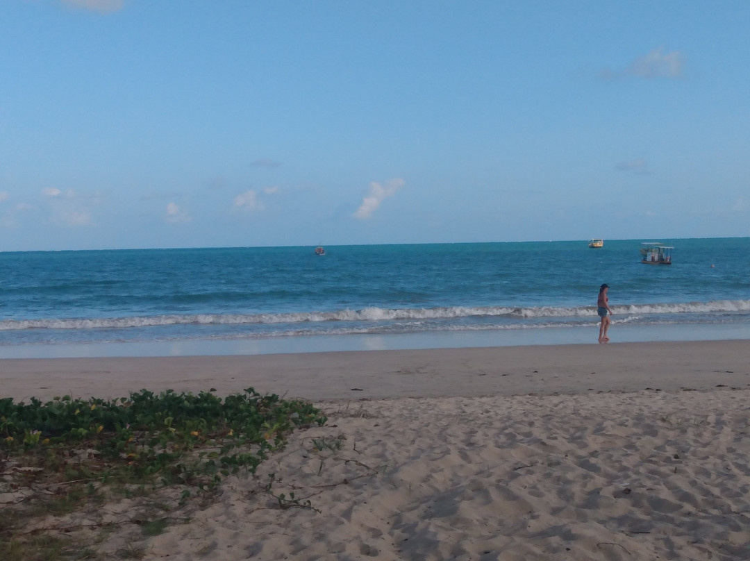 Mota Turismo-Maragogi必去景点