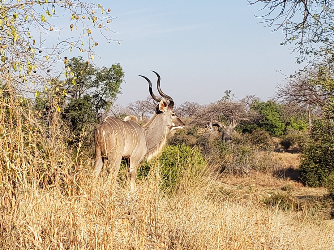 CRA Safari Tours-Iringa必去景点