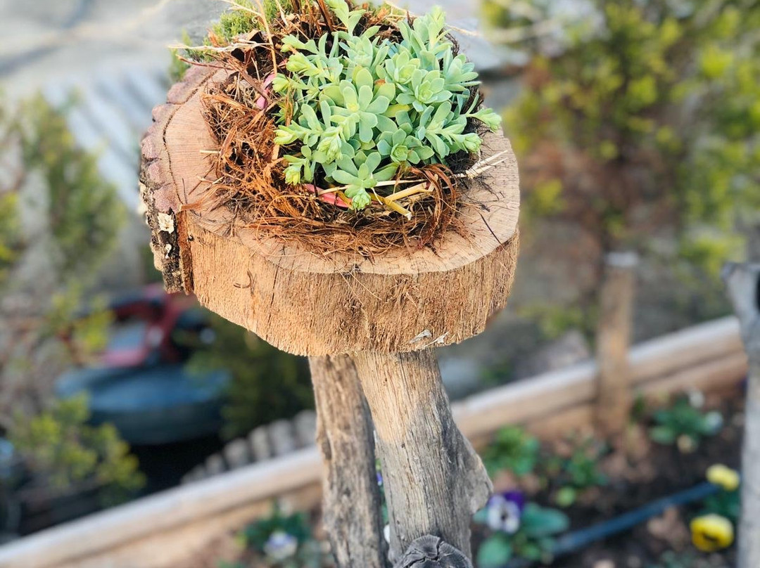 Lydia Park Nature-萨利赫利必去景点