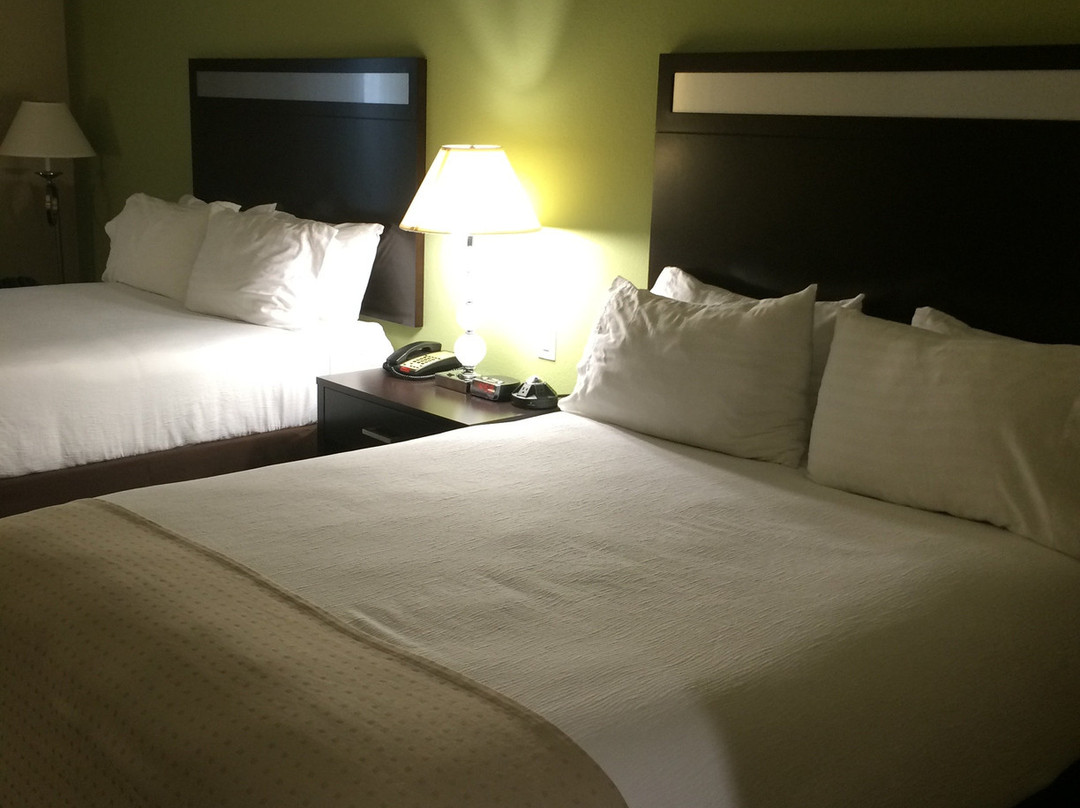 Holiday Inn Houston-webster By IHG主图