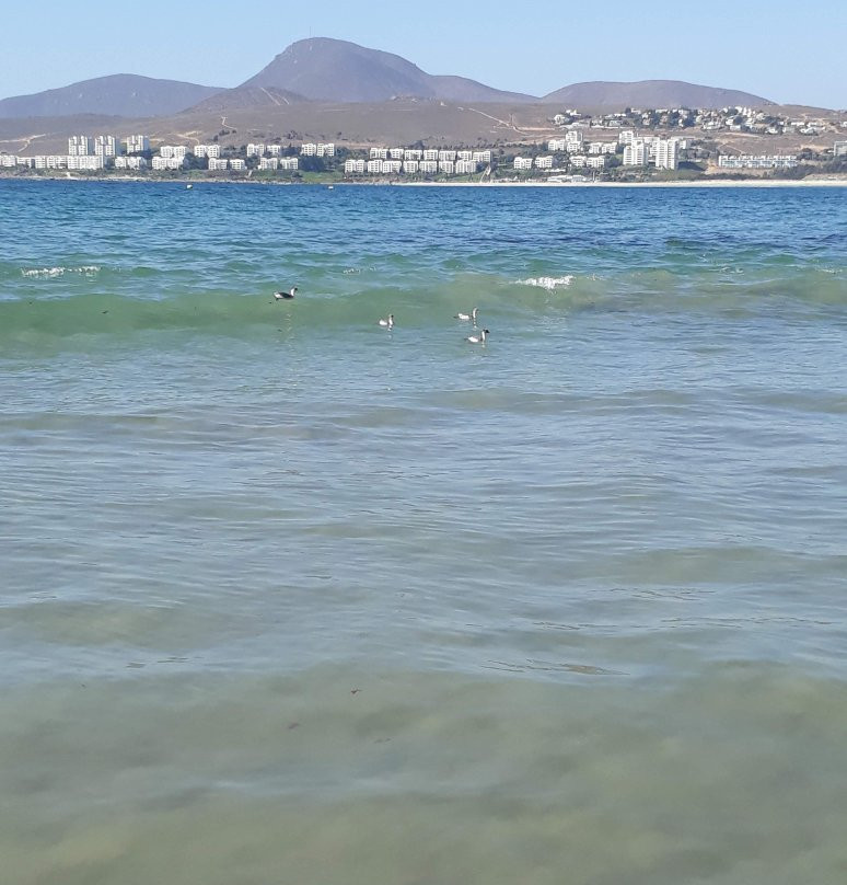 Playas Socos-Tongoy必去景点