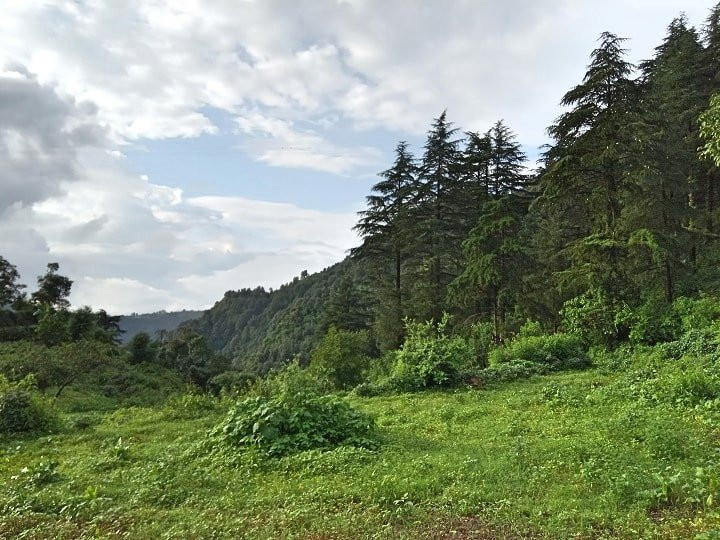 Trail Hikers